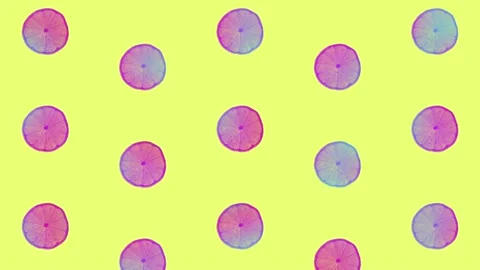 Limes pattern in vibrant gradient holographic neon colors. Concept art. Minimal Stock Footage 167486632