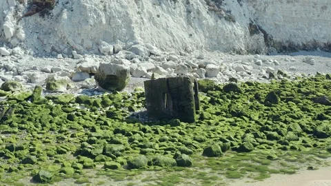 Limestone and moss rocks on the beach 3 (Cap Blanc Nez, France) Stock Footage 116174675