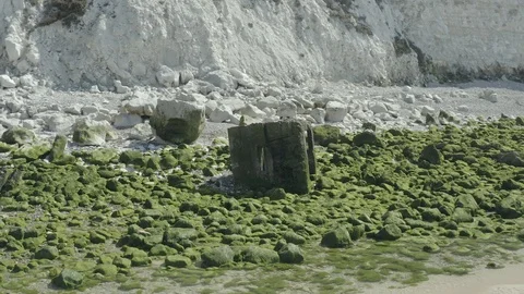 Limestone and moss rocks on the beach 3 (Cap Blanc Nez, France) d-log Stock Footage 116174676