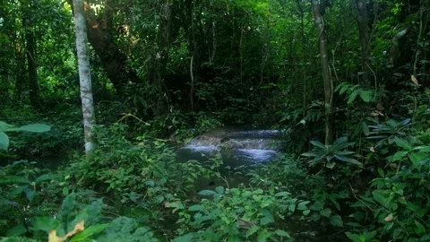 Limestone cascade scene Video stock 100719544