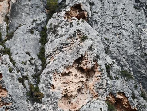 Limestone Cliff With Cavities, Cliff Face Showing Honeycomb Structures And Stock Photos