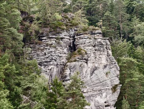 Limestone cliff face rising from dense evergreen forest Stock Photos