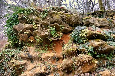 Limestone Cliff. 写真素材