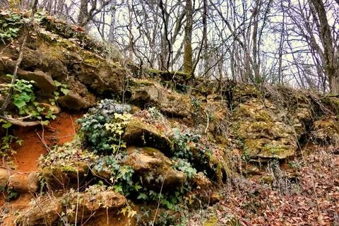 Limestone Cliff. Stock Photos
