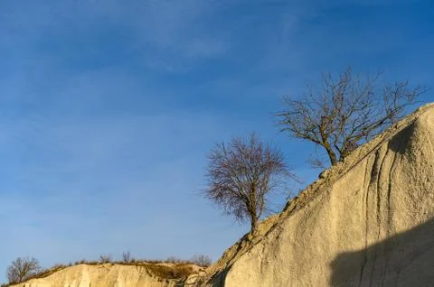 Limestone cliff with trees on the top at limestone quarry Stock Photos