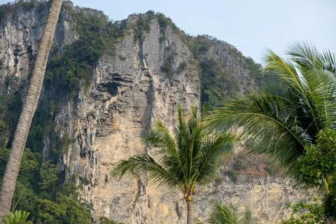 Limestone cliffs and palm trees in Krabi Thailand Photos