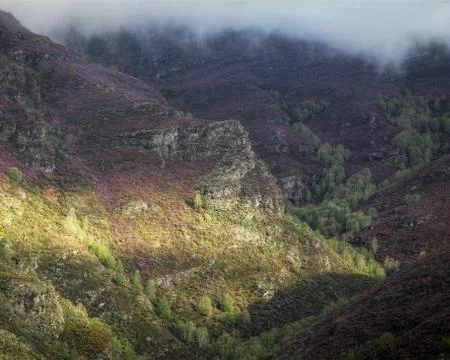 Limestone Cliffs between Birch Forests and Heather Slopes Stock Photos