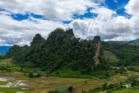 Limestone cliffs rising above rice fields, Laos 스톡 사진