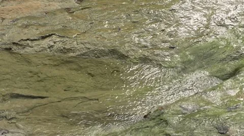 Limestone Creek Closeup Stock Footage 12404643