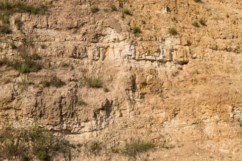 Limestone detail Stock Photos