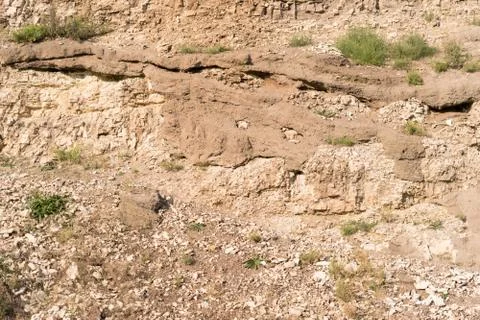 Limestone detail Stock Photos