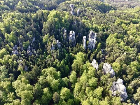 Limestone Formations Amidst Trees. Vertical Rock Pillars Stand Amidst Lush .. Stock Photos