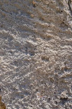 Limestone Fossils texture background 2 Stock Photos