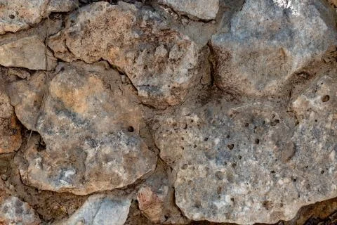 Limestone fragment for texture Stock Photos