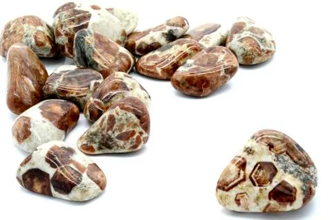 Limestone Garnet 스톡 사진