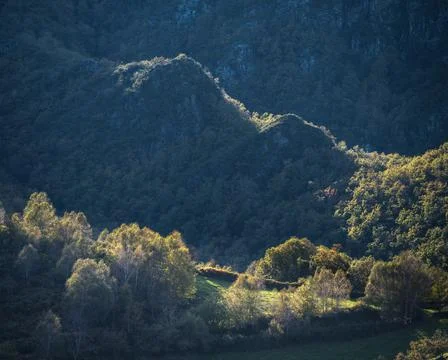 Limestone hills emerge between native deciduous forest Stock Photos