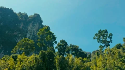 Limestone karst cliffs rising above a tropical rainforest Stock-Footage 341329399