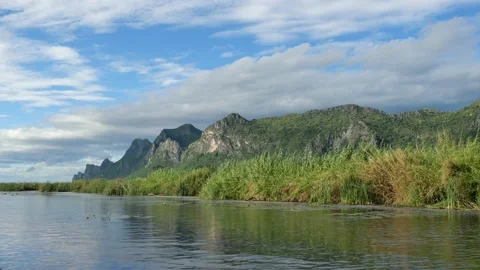 Limestone mountain with rock cliff with green forest and reed field in lake Stock Footage 134522073