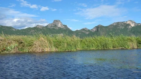 Limestone mountain with rock cliff with green forest and reed field in lake Stock Footage 134522103