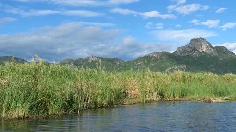 Limestone mountain with rock cliff with green forest and reed field in lake Stock Footage 134522108