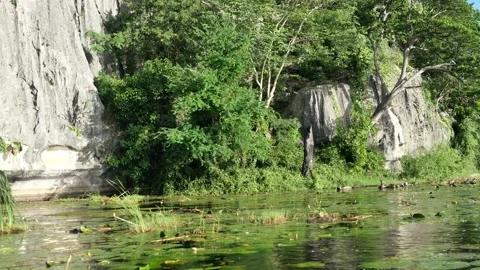 Limestone mountain with rock cliff with green forest and reed field in lake Stock Footage 134522190