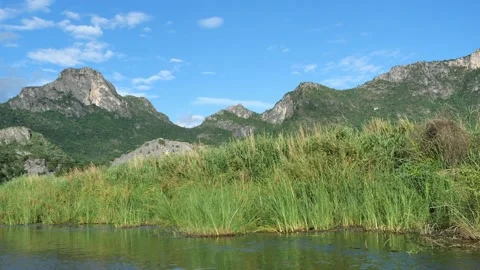 Limestone mountain with rock cliff with green forest and reed field in lake Stock Footage 134522200