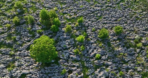 Limestone pavement from air Stock Footage 277365097