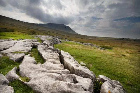 Limestone Pavement Stock Photos