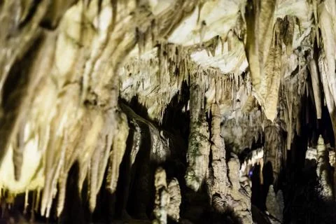 Limestone Stock Photos