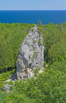 Limestone Pinnacle in the Forest Stockfoto's