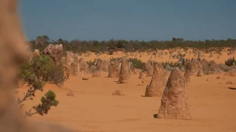 Limestone Pinnacles in Desert Landscape Stock Footage 316048010