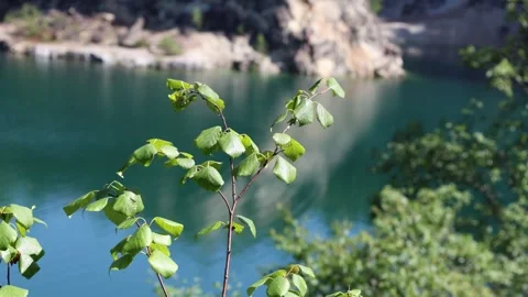 Limestone quarry lake Stock Footage 315246940