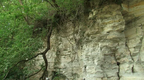 Limestone quarry with trees growing at edge, pan slope Stock Footage 22524371