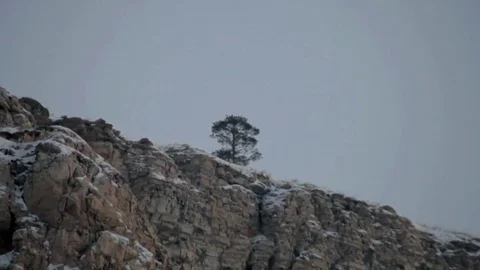 Limestone rock Video stock 73005685