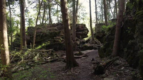 Limestone rock formations in a quiet forest Stock Footage 154012748