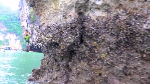 Limestone rock with shells mussels on Ko Hong Island in Thailand. Stock Footage 317610322