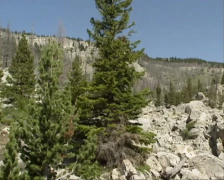 Limestone rocks + pan boulders Stock Footage 35498762
