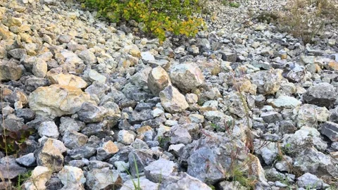 Limestone scree field in old quarry. Stock Footage 346529474