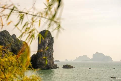 Limestone sea stack viewed from coastal hillside Fotos de archivo