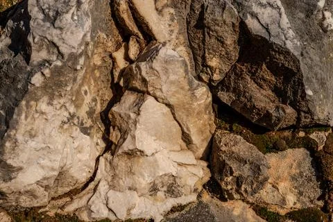 Limestone is a sedimentary rock whose main component is the mineral calcite.  Stock Photos