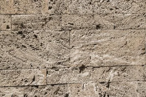 Limestone sponge bricks closeup Stock Photos