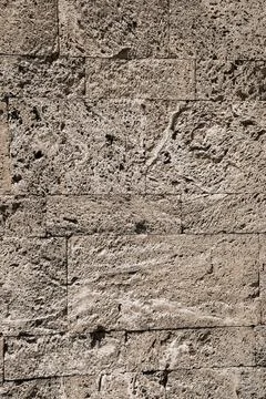 Limestone sponge bricks closeup Stock Photos