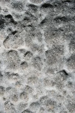 Limestone texture Stock Photos