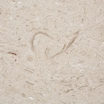 Limestone texture Stock Photos