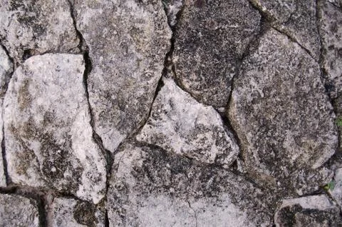Limestone texture Stock Photos