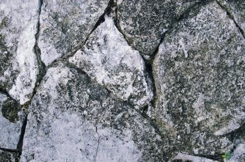 Limestone texture Stock Photos