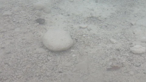 Limestone under the icy water Stock-Footage 87506636