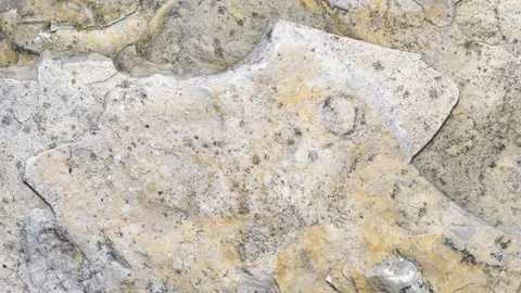 limestone with visible details. backgrou... | Stock Video | Pond5
