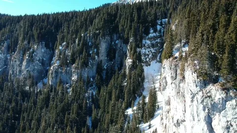 Limestone wall in alpine gorge , Carpathian Mountains , winter landscape Video stock 104049762