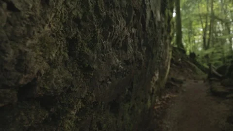 A limestone wall and lichens. Stock Footage 247970832